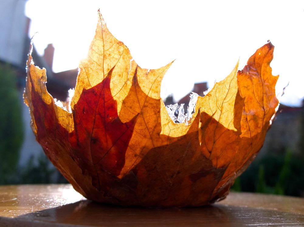 How To Make A Leaf Bowl Fall Craft Thinlyspread Co Uk