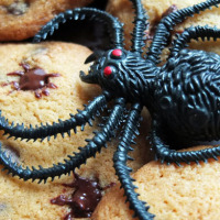 Halloween spider biscuits