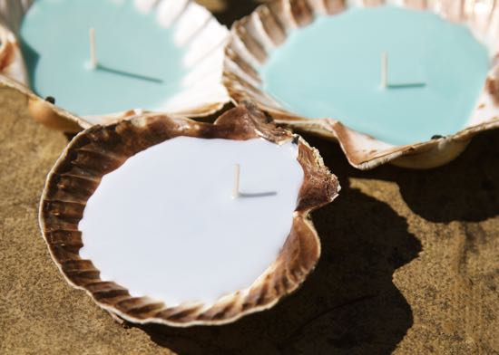 How to Make Candles in Seashells
