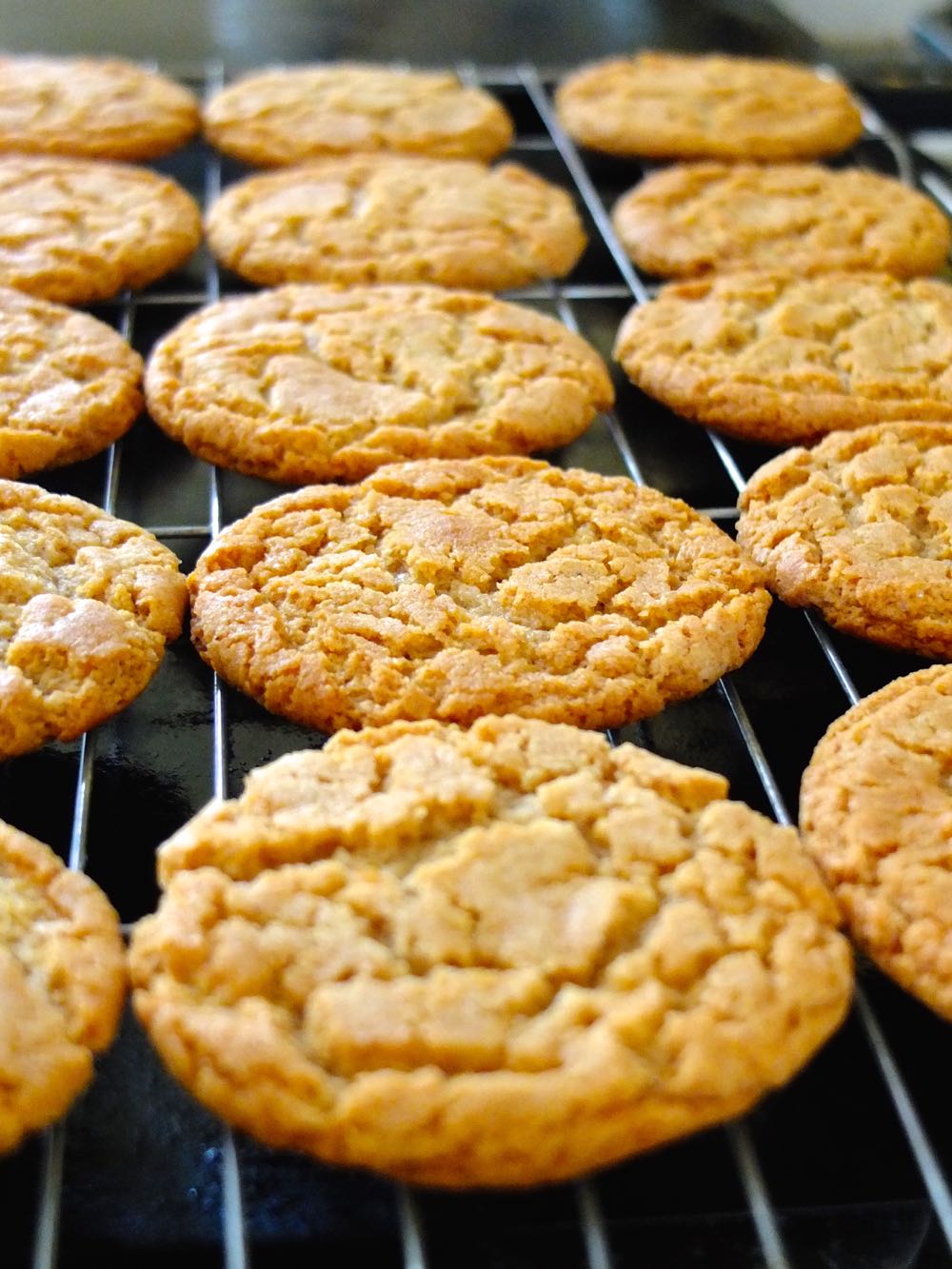 A cooling rack of Homemade ginger biscuits for rhubarb parfait dessert.