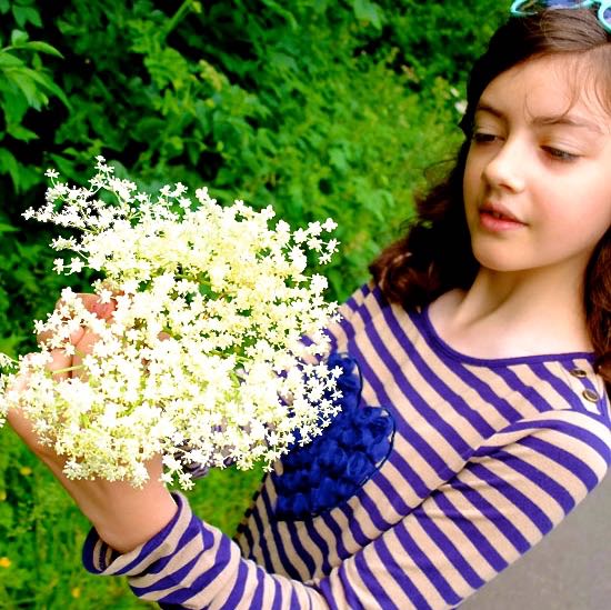 Young girls foraging for elderflowers in June.