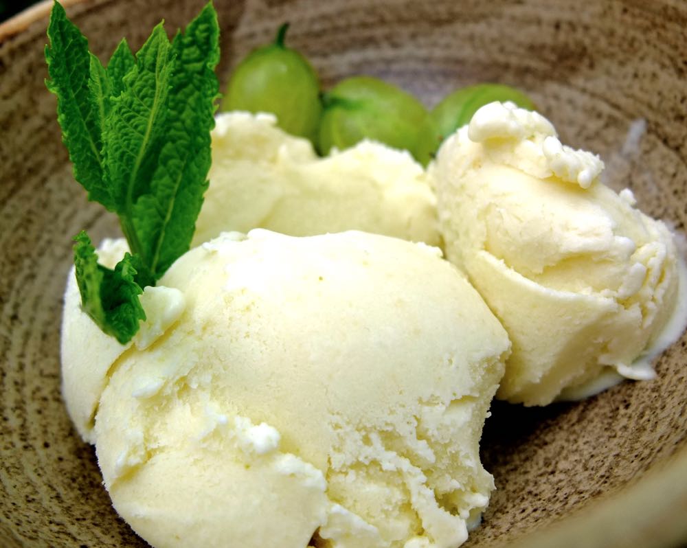 Elderflower and Gooseberry Ice Cream with mint and whole gooseberries.