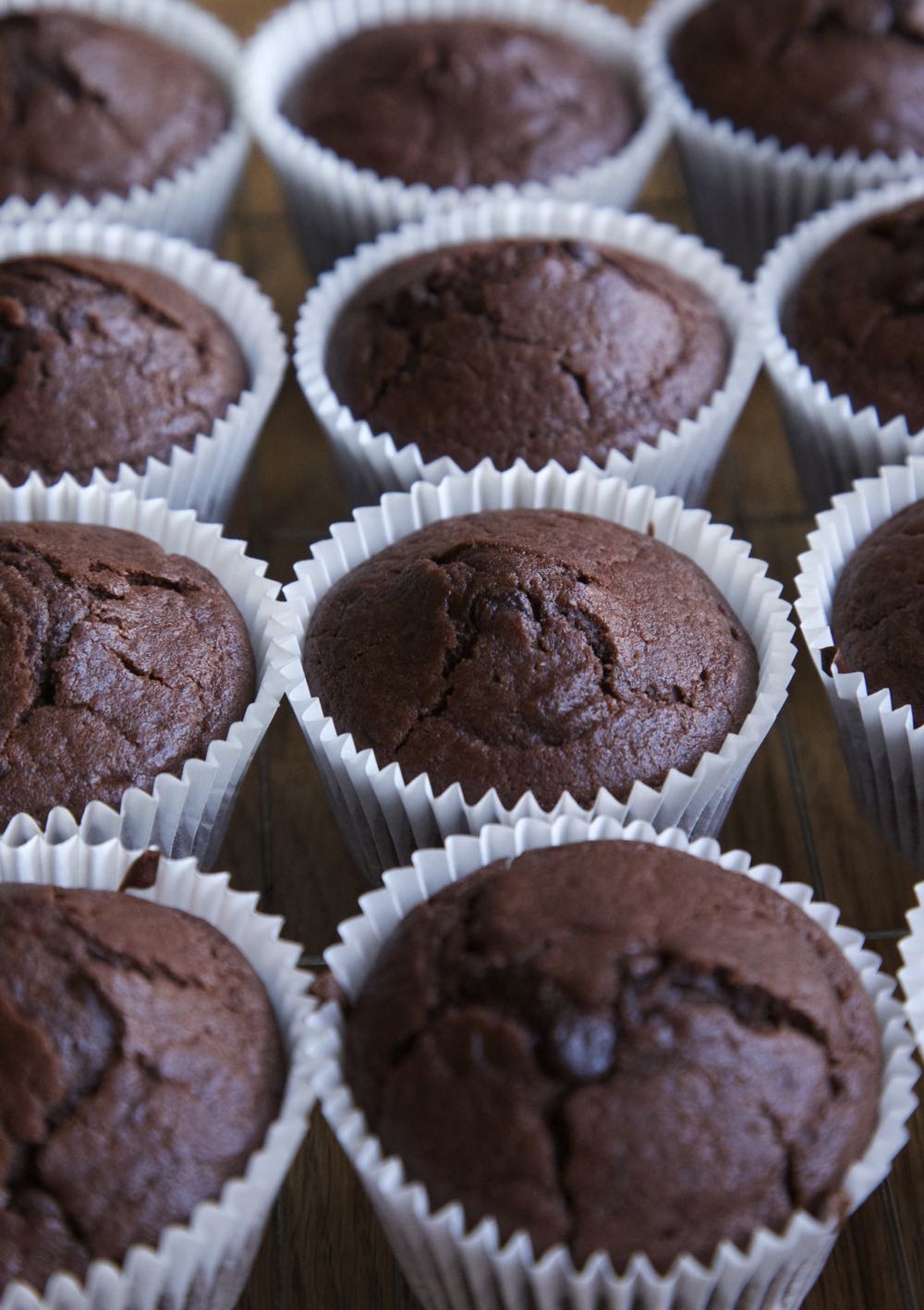 Rows of Chocolate Orange Muffins.